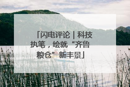 闪电评论｜科技执笔，绘就“齐鲁粮仓”新丰景