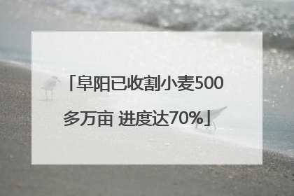 阜阳已收割小麦500多万亩 进度达70%