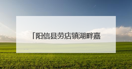 阳信县劳店镇湖畔嘉苑社区打造家门口的“光影文化盛宴”
