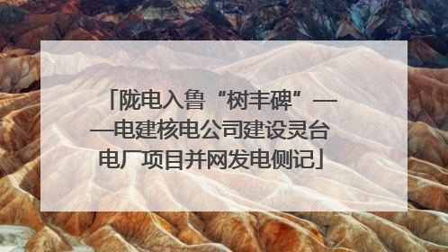 陇电入鲁“树丰碑”——电建核电公司建设灵台电厂项目并网发电侧记