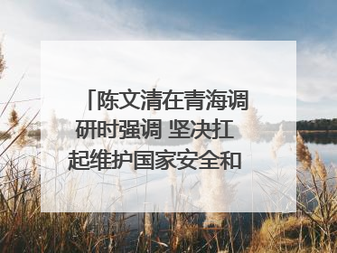陈文清在青海调研时强调 坚决扛起维护国家安全和社会稳定职责使命 为谱写中国式现代化青海篇章贡献政法力量