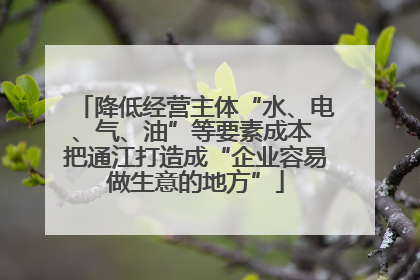 降低经营主体“水、电、气、油”等要素成本 把通江打造成“企业容易做生意的地方”
