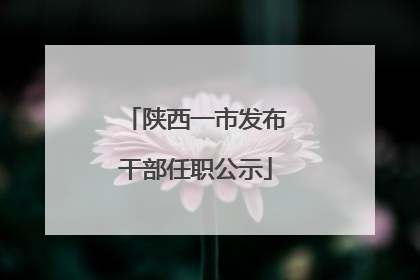 陕西一市发布干部任职公示