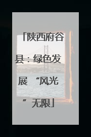陕西府谷县：绿色发展 “风光”无限