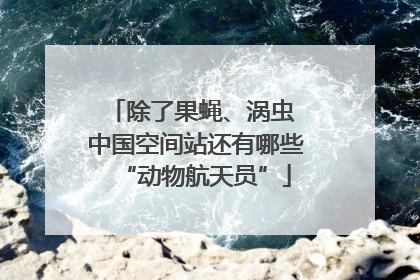 除了果蝇、涡虫 中国空间站还有哪些“动物航天员”