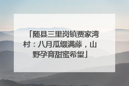 随县三里岗镇贾家湾村：八月瓜缀满藤，山野孕育甜蜜希望