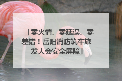 零火情、零延误、零差错！岳阳消防筑牢旅发大会安全屏障