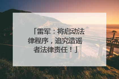 雷军：将启动法律程序，追究造谣者法律责任！