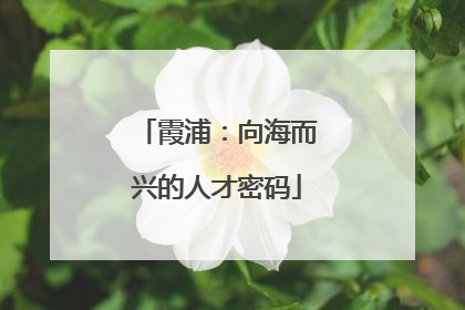 霞浦：向海而兴的人才密码