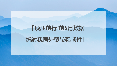 顶压前行 前5月数据折射我国外贸较强韧性