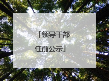领导干部任前公示