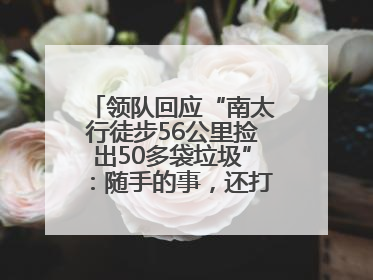 领队回应“南太行徒步56公里捡出50多袋垃圾”：随手的事，还打算去武功山捡