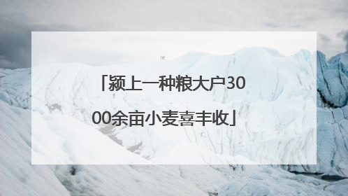 颍上一种粮大户3000余亩小麦喜丰收