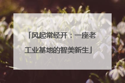 风起常经开：一座老工业基地的智美新生