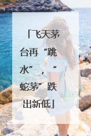 飞天茅台再“跳水”，“蛇茅”跌出新低