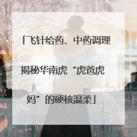 飞针给药、中药调理 揭秘华南虎“虎爸虎妈”的硬核温柔