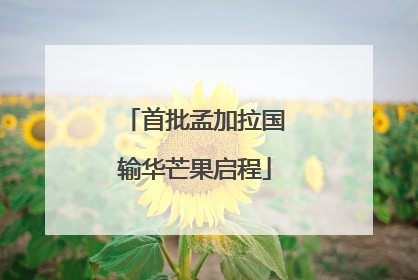首批孟加拉国输华芒果启程