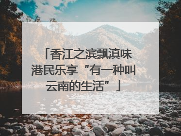 香江之滨飘滇味 港民乐享“有一种叫云南的生活”