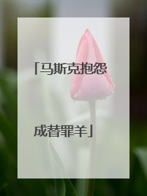 马斯克抱怨成替罪羊