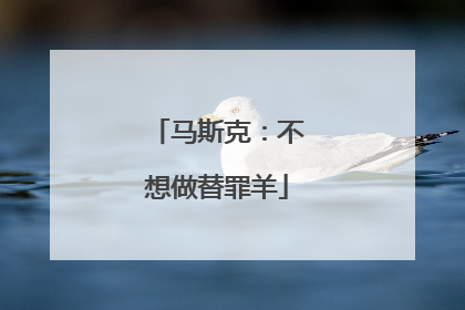 马斯克：不想做替罪羊