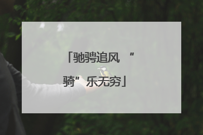 驰骋追风 “骑”乐无穷