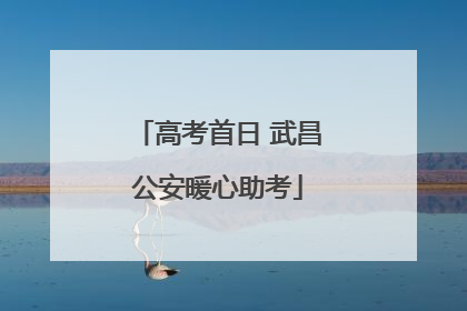 高考首日 武昌公安暖心助考