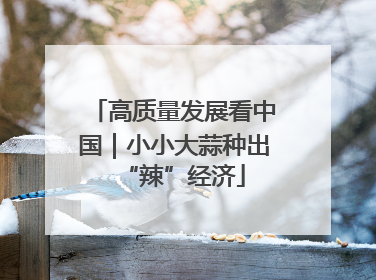 高质量发展看中国｜小小大蒜种出“辣”经济