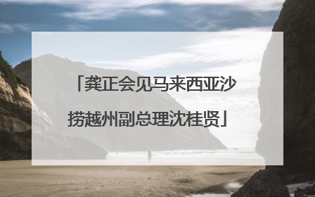 龚正会见马来西亚沙捞越州副总理沈桂贤