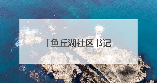 鱼丘湖社区书记王萍：14年扎根基层，“千条线”里一心为民