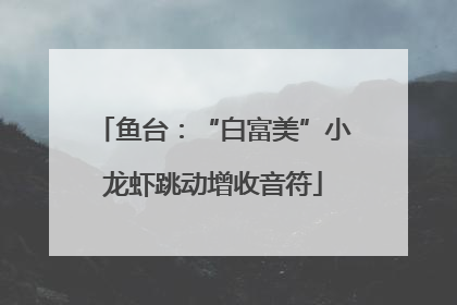 鱼台：“白富美”小龙虾跳动增收音符