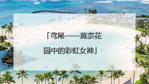 鸢尾——莫奈花园中的彩虹女神