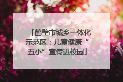 鹤壁市城乡一体化示范区：儿童健康“五小”宣传进校园