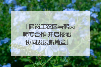 鹤岗工农区与鹤岗师专合作 开启校地协同发展新篇章