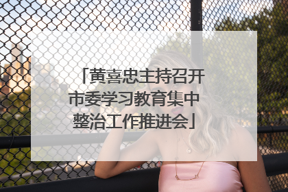 黄喜忠主持召开市委学习教育集中整治工作推进会