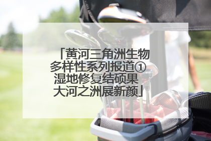 黄河三角洲生物多样性系列报道①湿地修复结硕果 大河之洲展新颜
