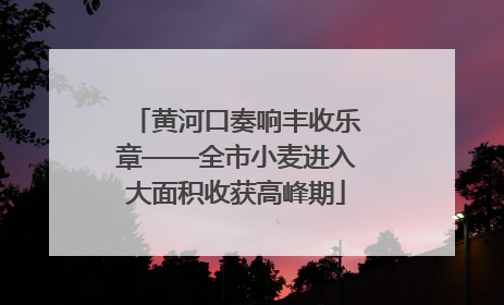 黄河口奏响丰收乐章——全市小麦进入大面积收获高峰期