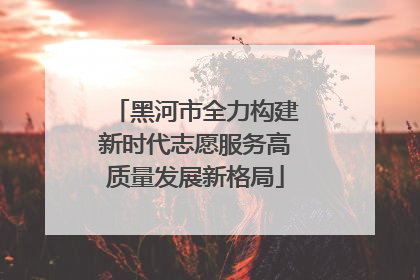 黑河市全力构建新时代志愿服务高质量发展新格局