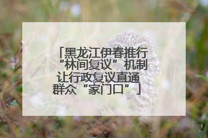 黑龙江伊春推行“林间复议”机制 让行政复议直通群众“家门口”