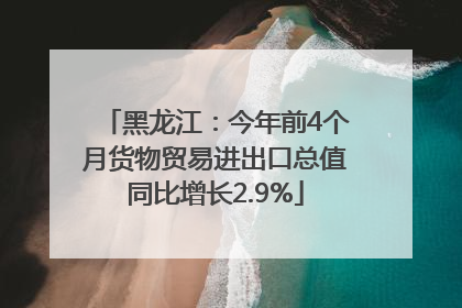 黑龙江：今年前4个月货物贸易进出口总值同比增长2.9%