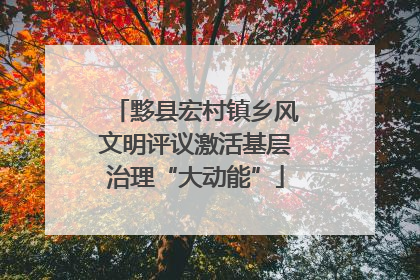 黟县宏村镇乡风文明评议激活基层治理“大动能”