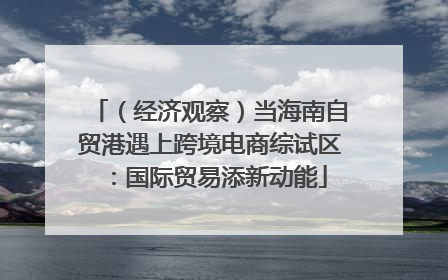 （经济观察）当海南自贸港遇上跨境电商综试区：国际贸易添新动能