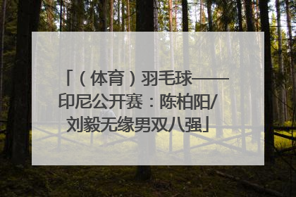 （体育）羽毛球——印尼公开赛：陈柏阳/刘毅无缘男双八强