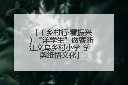 （乡村行·看振兴）“洋学生”做客浙江义乌乡村小学 学剪纸悟文化