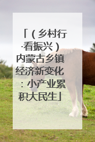 （乡村行·看振兴）内蒙古乡镇经济新变化：小产业累积大民生