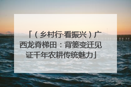 （乡村行·看振兴）广西龙脊梯田：背篓变迁见证千年农耕传统魅力
