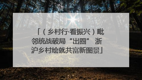 （乡村行·看振兴）毗邻统战破局“出圈” 浙沪乡村绘就共富新图景
