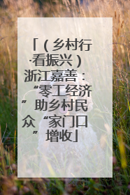 （乡村行·看振兴）浙江嘉善：“零工经济”助乡村民众“家门口”增收