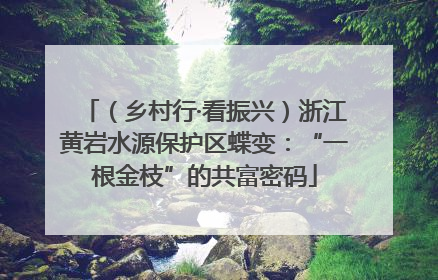 （乡村行·看振兴）浙江黄岩水源保护区蝶变：“一根金枝”的共富密码