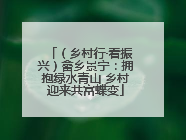 （乡村行·看振兴）畲乡景宁：拥抱绿水青山 乡村迎来共富蝶变