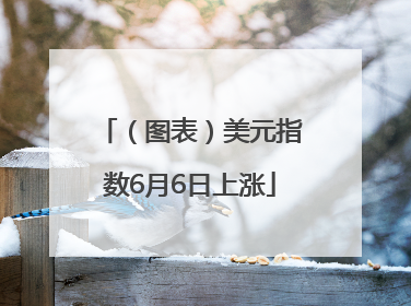 （图表）美元指数6月6日上涨